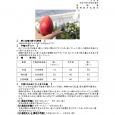 詳細は、画像をクリックしてください。PDFが開きます。 概要 […]