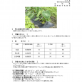 詳細は、画像をクリックしてください。PDFが開きます。 概要 […]