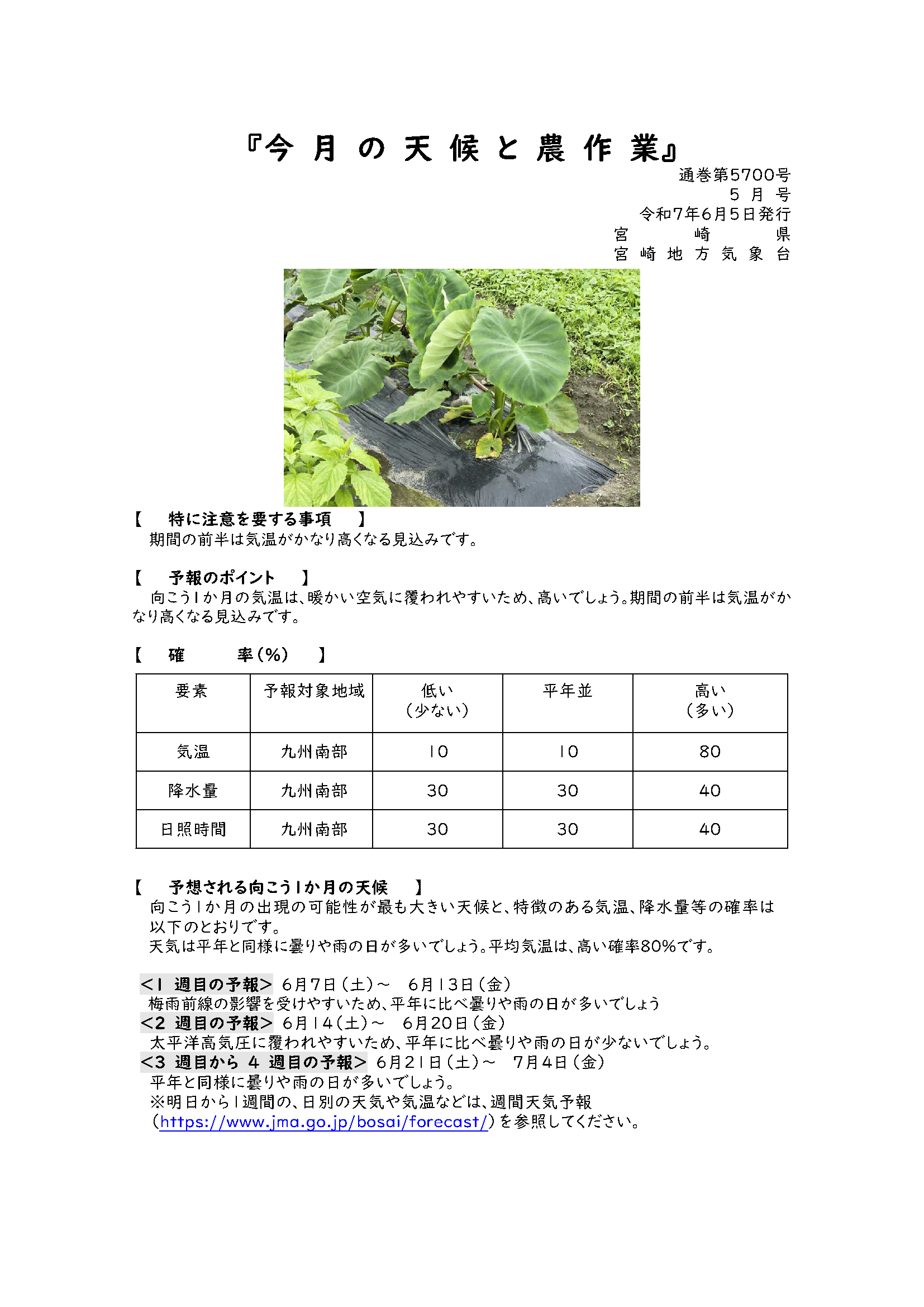 今月の天候と農作業2025年6月版