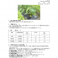 詳細は、画像をクリックしてください。PDFが開きます。 概要 […]