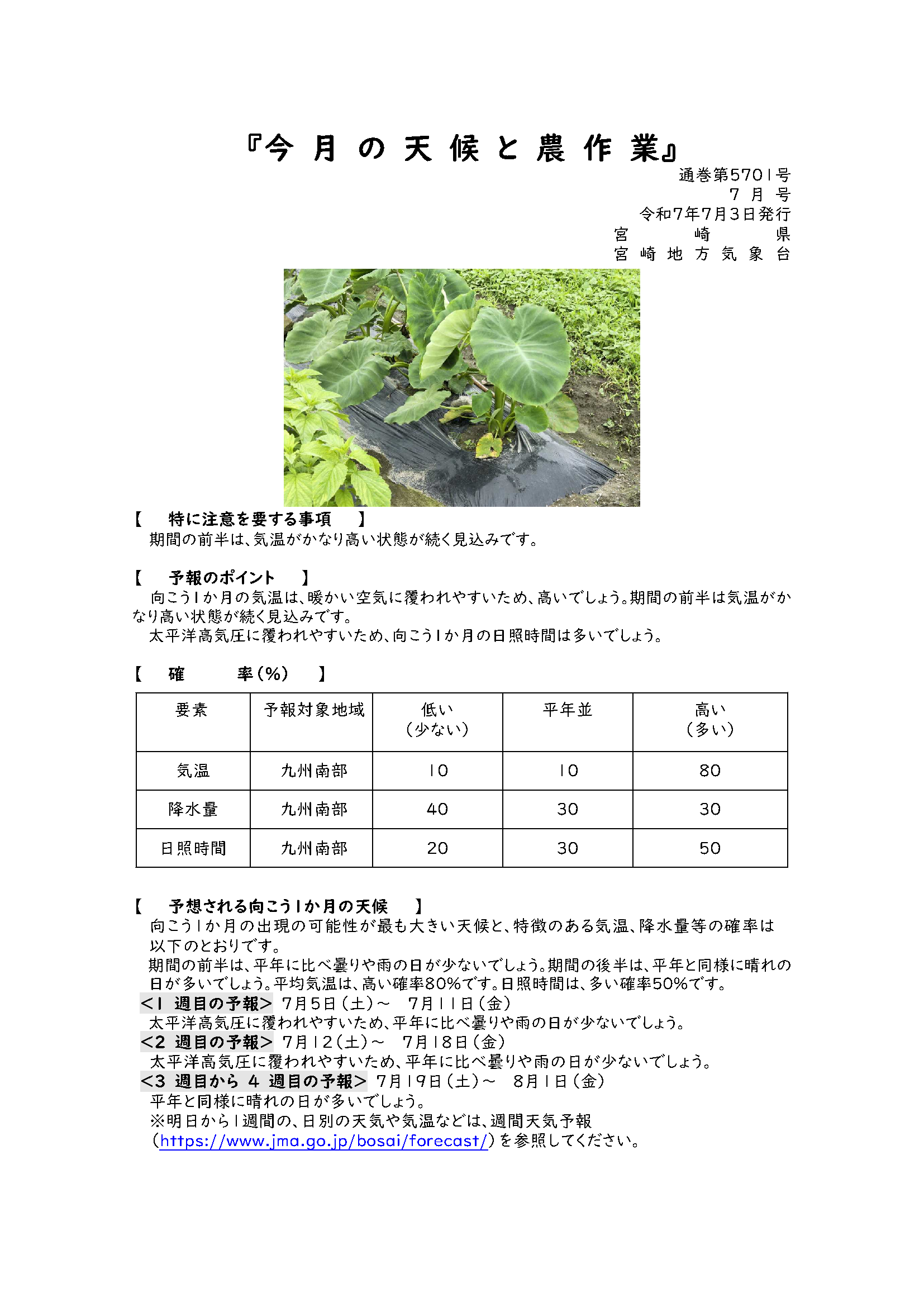 今月の天候と農作業2025年7月版