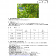 詳細は、画像をクリックしてください。PDFが開きます。 概要 […]