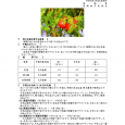 詳細は、画像をクリックしてください。PDFが開きます。 概要 [&hellip;]