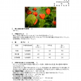 詳細は、画像をクリックしてください。PDFが開きます。 概要 [&hellip;]