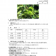 詳細は、画像をクリックしてください。PDFが開きます。 概要 [&hellip;]
