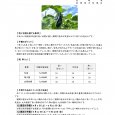 詳細は、画像をクリックしてください。PDFが開きます。 概要 [&hellip;]