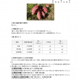 詳細は、画像をクリックしてください。PDFが開きます。 概要 [&hellip;]